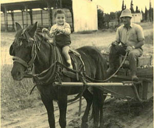 fdtimes35_ibc_cinec_200_3